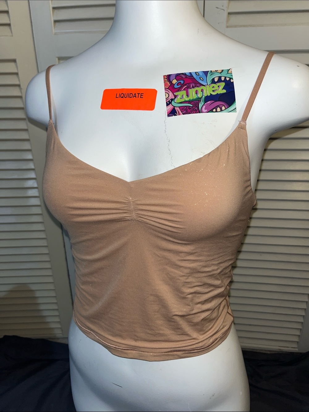 Two Smoothez Aerie Tanks - Shimmery Nude